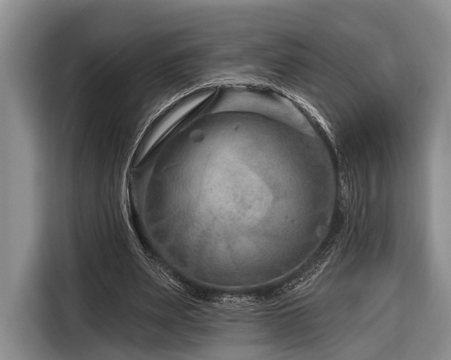 X0000116870487200912221409