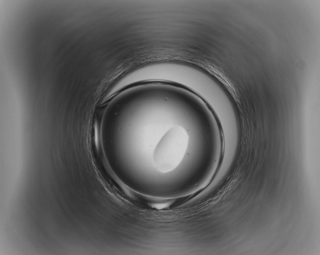 X0000116870489200912221408
