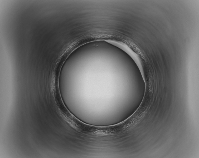 X0000116870490200912221408