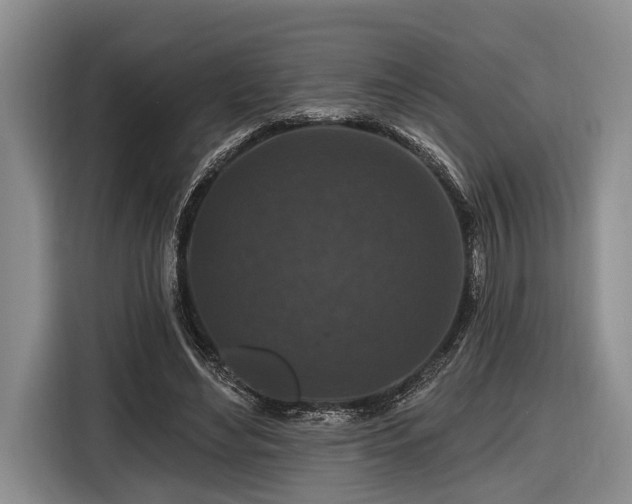 X0000116870492200912221408