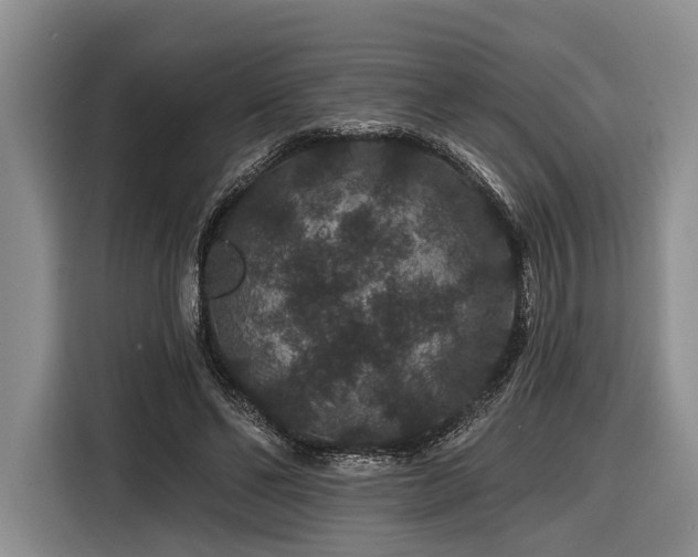 X0000116870494200912221408