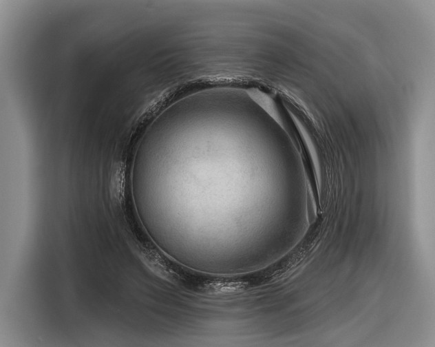 X0000116870495200912221408