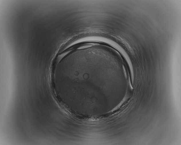 X0000116870496200912221408