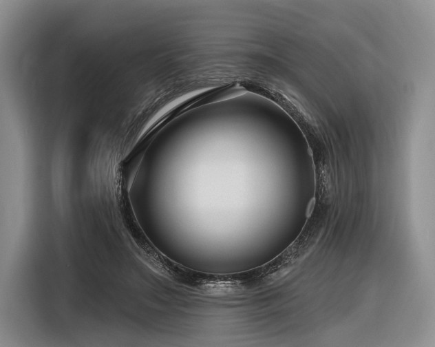 X0000116870499200912221408