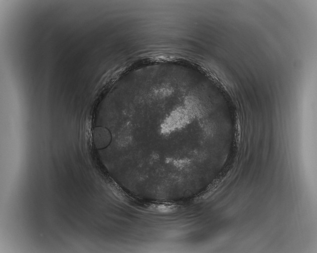 X0000116870506200912221408