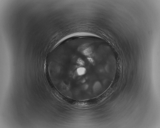 X0000116870507200912221408