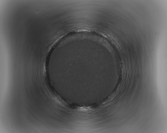 X0000116870508200912221408