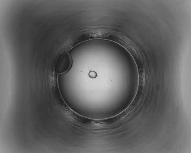 X0000116870510200912221408