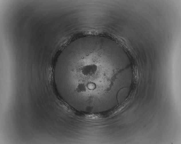 X0000116870511200912221408