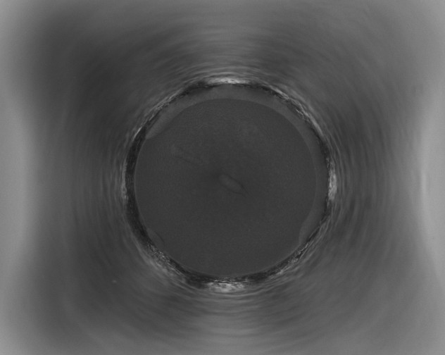 X0000116870512200912221408