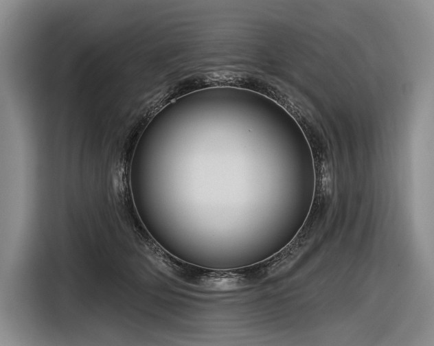 X0000116870514200912221408