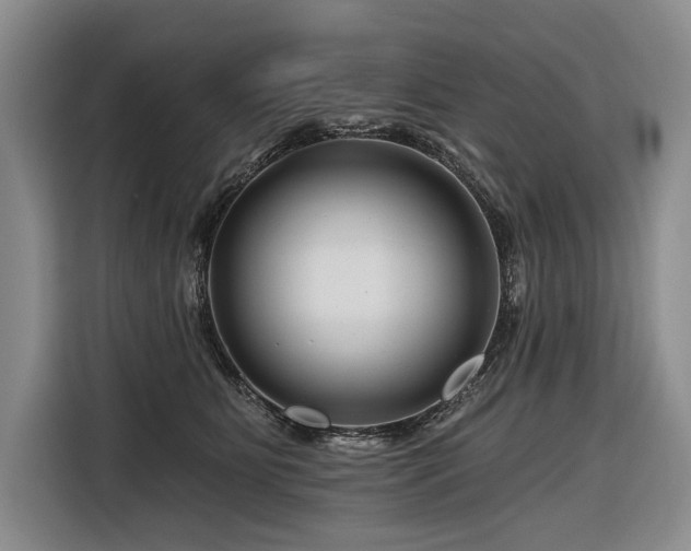 X0000116870515200912221408