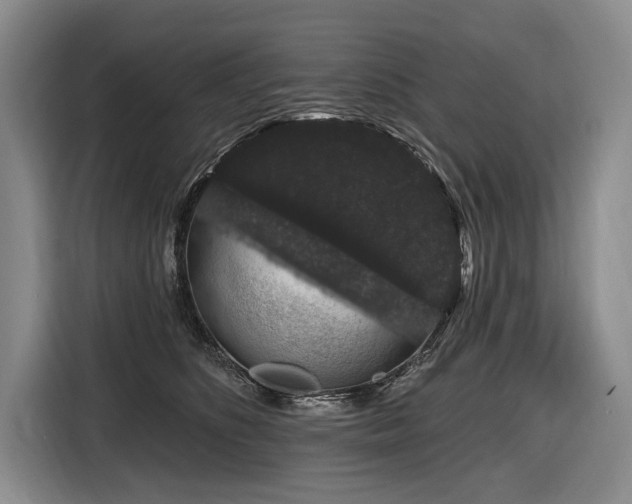 X0000116870516200912221408