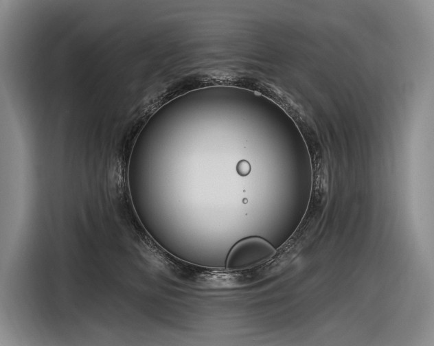 X0000116870518200912221408