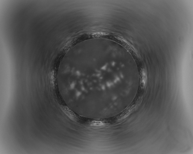 X0000116870519200912221408