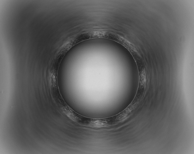 X0000116870522200912221408