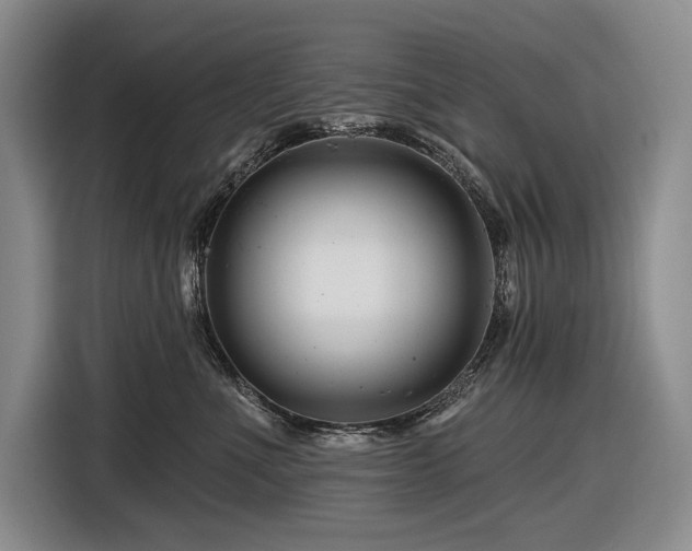 X0000116870523200912221408