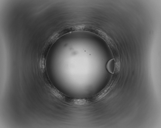 X0000116870525200912221408