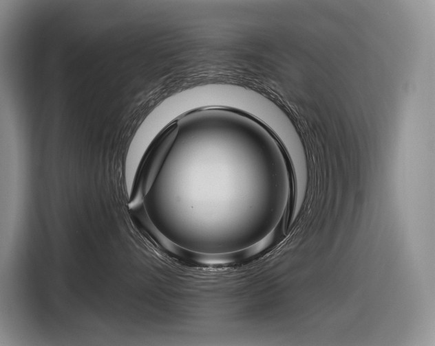 X0000116870528200912221408