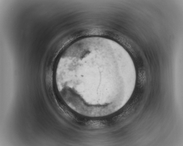 X0000116870534200912221407