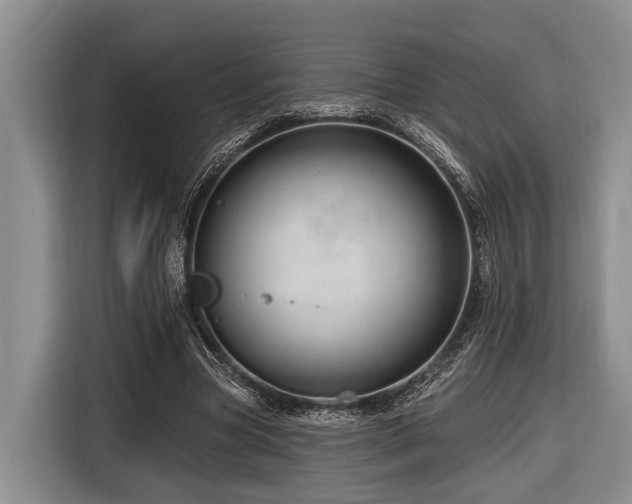 X0000116870537200912221407