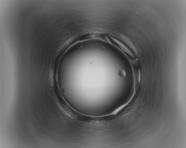 X0000116870538200912221407