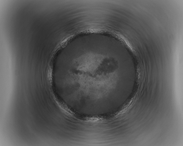 X0000116870542200912221408