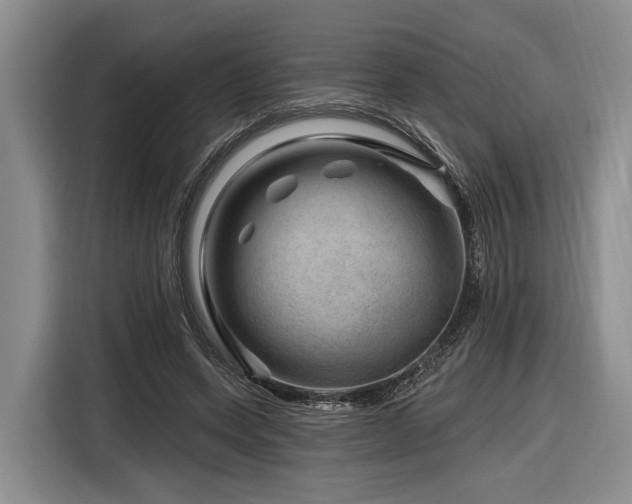 X0000116870543200912221408