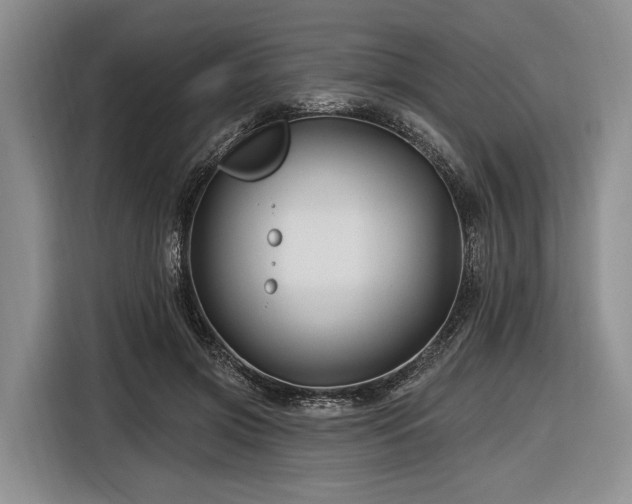 X0000116870549200912221408