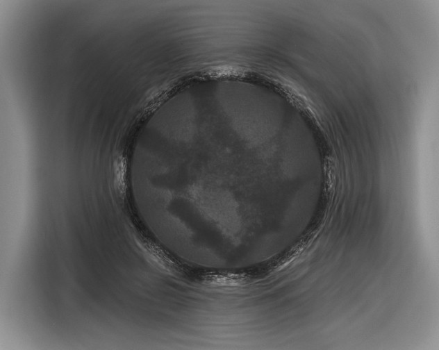 X0000116870550200912221408