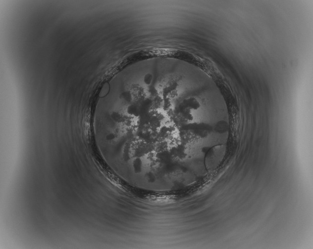 X0000116870553200912221408