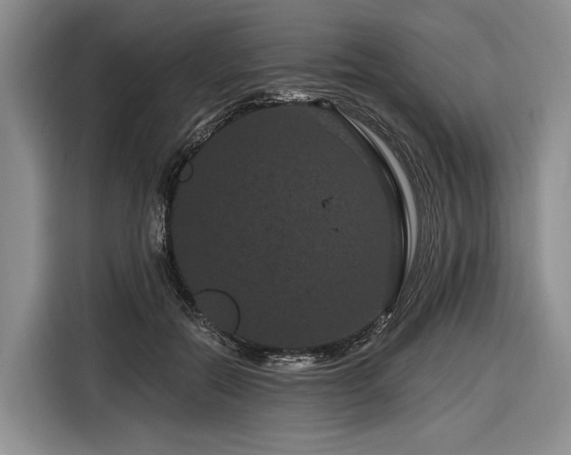 X0000116870554200912221408