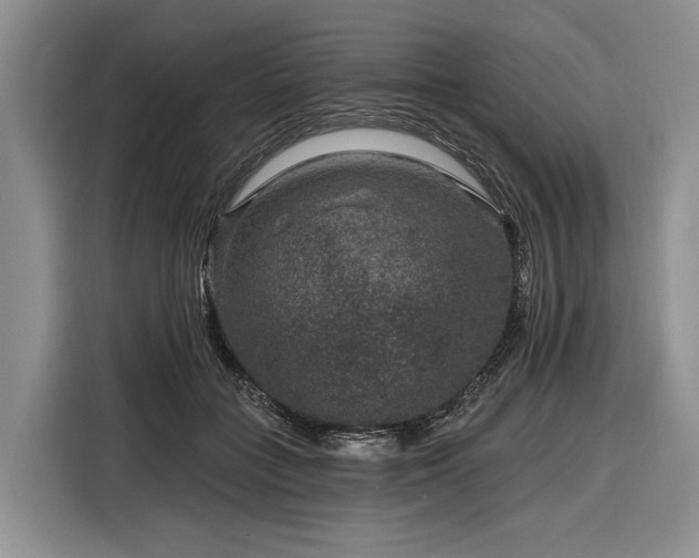 X0000116870555200912221408