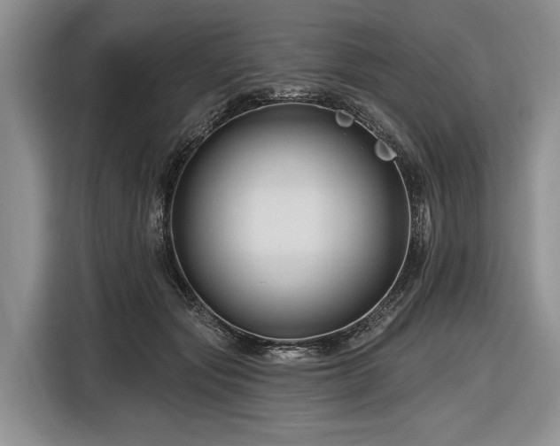X0000116870557200912221408