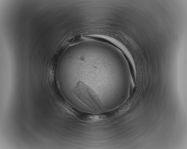 X0000116870558200912221408