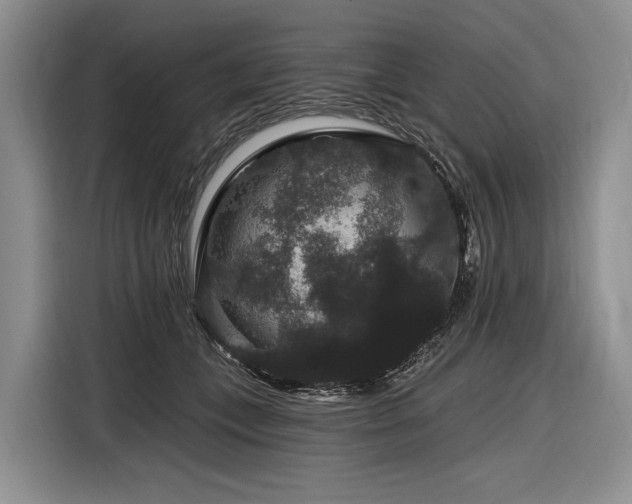 X0000116870559200912221408