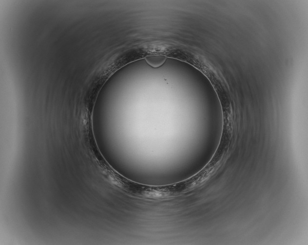 X0000116870561200912221408