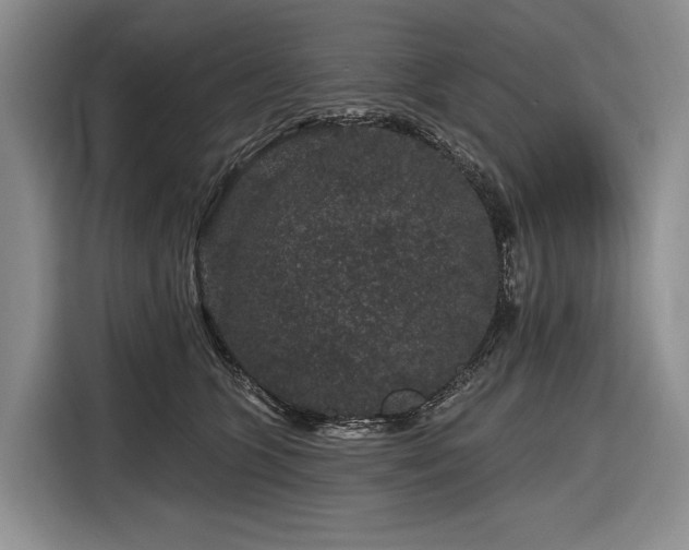 X0000116870563200912221408