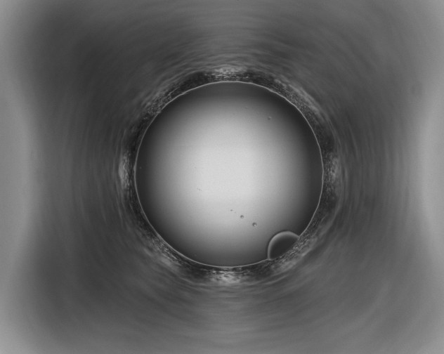 X0000116870565200912221408
