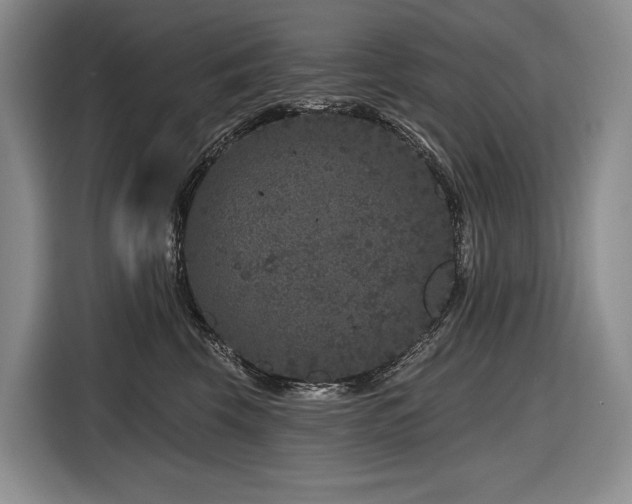 X0000116870569200912221408