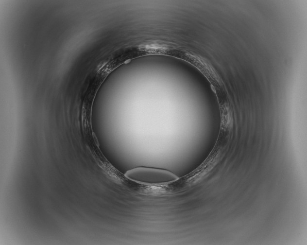 X0000116870573200912221408