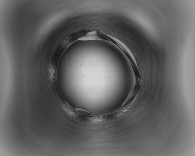 X0000116870574200912221408