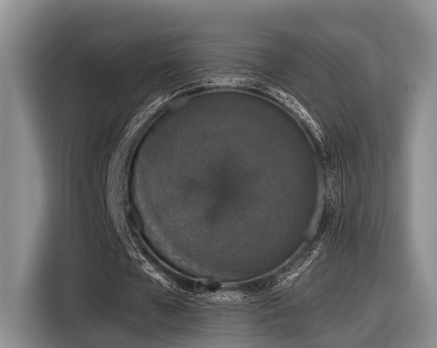X0000116870577200912221407