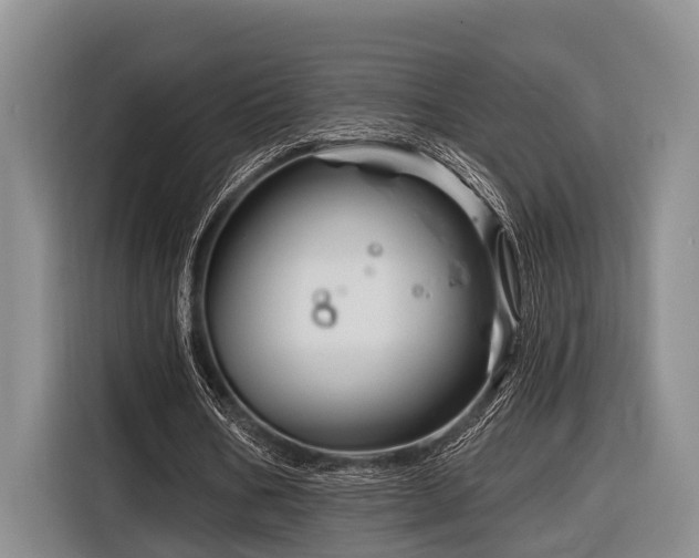 X0000116870578200912221407