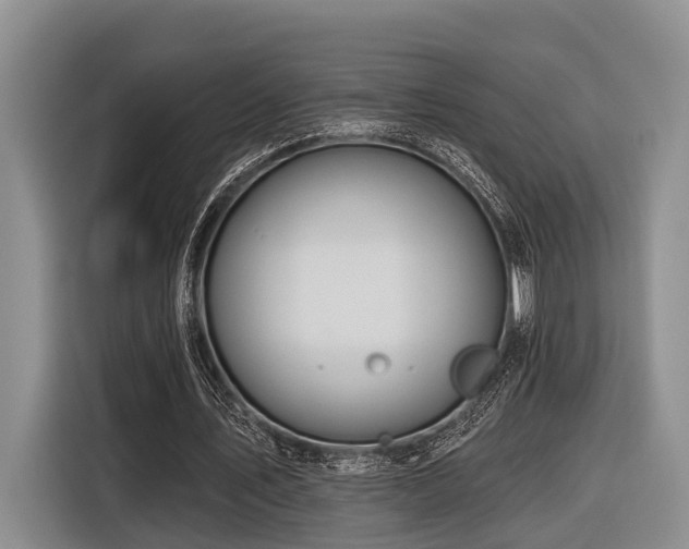 X0000116870579200912221407