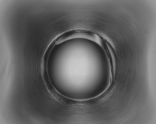 X0000116870580200912221407