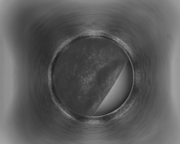 X0000116870581200912221407