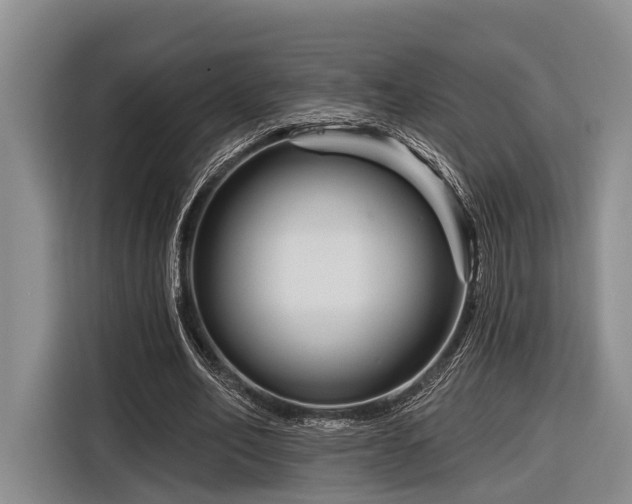 X0000116870582200912221407