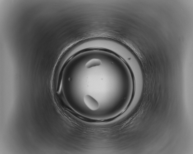 X0000116870583200912221407