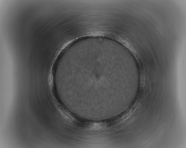 X0000116870584200912221407